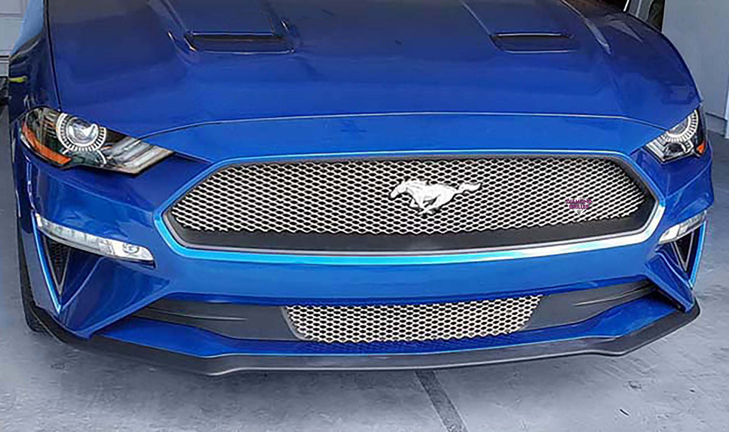 Ecoboost Grilles #10100 Stainless Steel