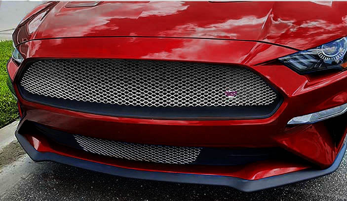 Ecoboost Grilles #10101 Stainless Steel